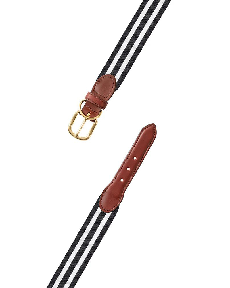 Black & White Stripe Ribbon Dog Collar (Made in the USA) WALK BARRONS-HUNTER   