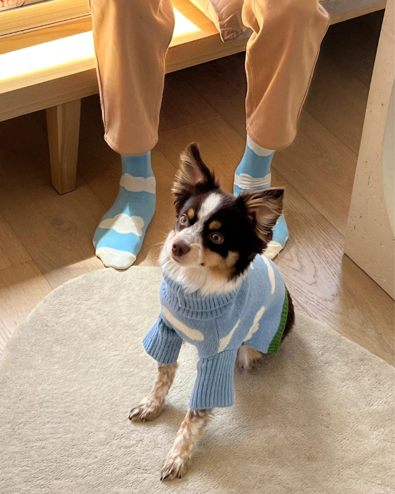 LITTLE BEAST Silver Linings Sweater Matching Human Socks DOG