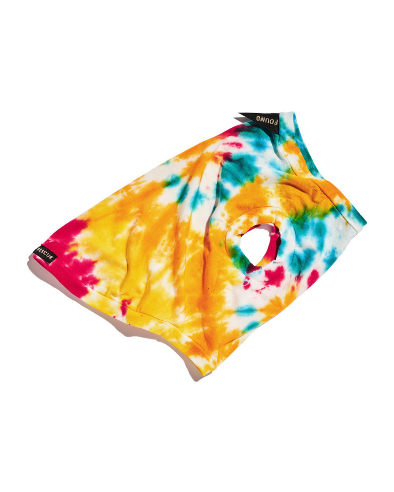 Studio Splatter Dog T-Shirt in Woodstock (CLEARANCE) Wear FOUND MY ANIMAL   