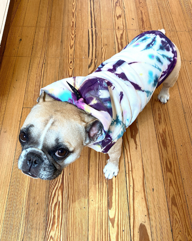 Studio Splatter Dog Sweatshirt in TV Screen (FINAL SALE) Wear FOUND MY ANIMAL   