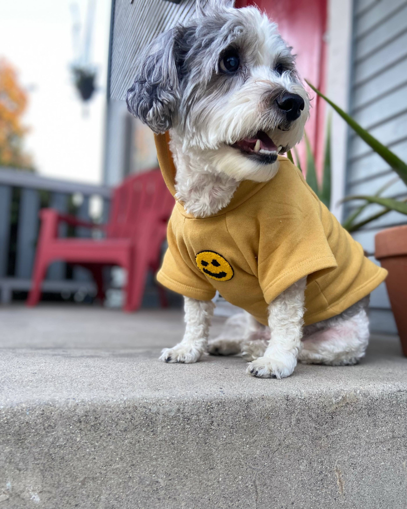 Have A Nice Day Dog Hoodie in Yellow (Made in the USA)<br>(FINAL SALE) Wear WAG CITY   