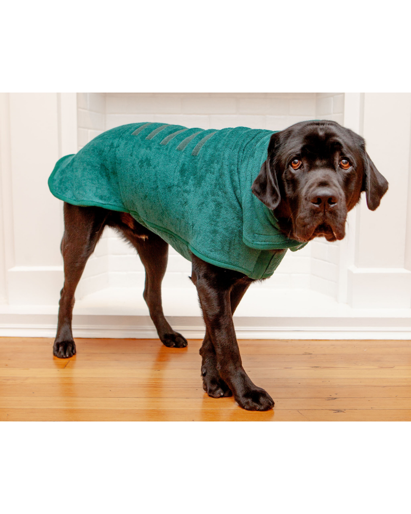 Dog Drying Coat in Bottle Green (Made in the UK) (FINAL SALE) HOME RUFF AND TUMBLE   