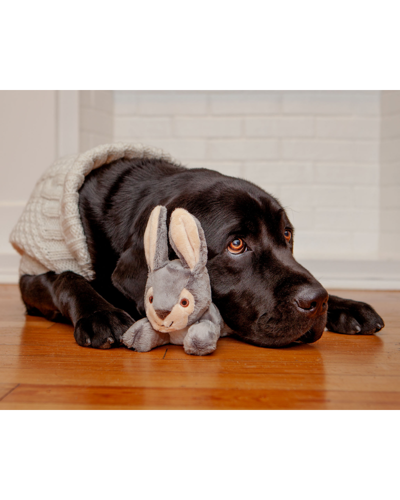 FLUFF & TUFF | Jessica Rabbit Plush Dog Toy | DOG & CO.