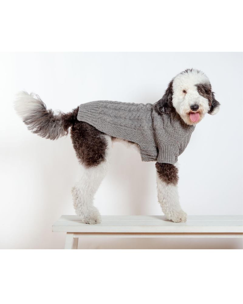 Downtown Roll Neck Dog Sweater in Grey Wear DOG & CO. COLLECTION   