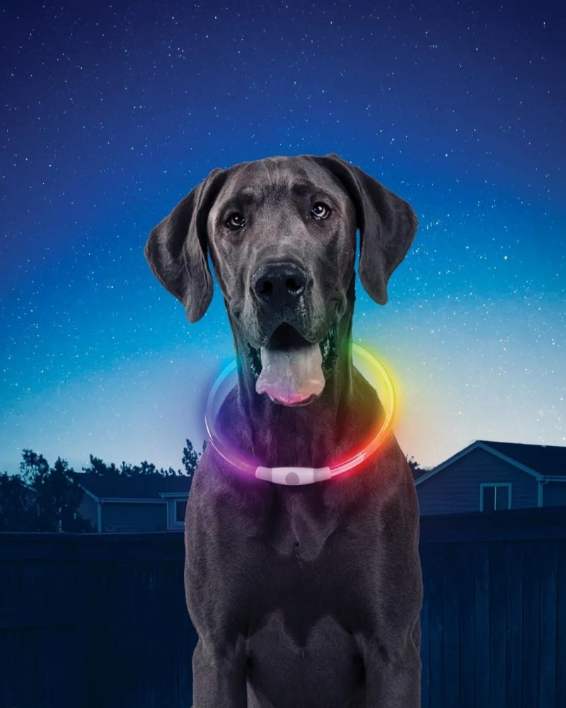 NITEHOWL® Rechargeable Led Safety Dog Necklace WALK NITE IZE   