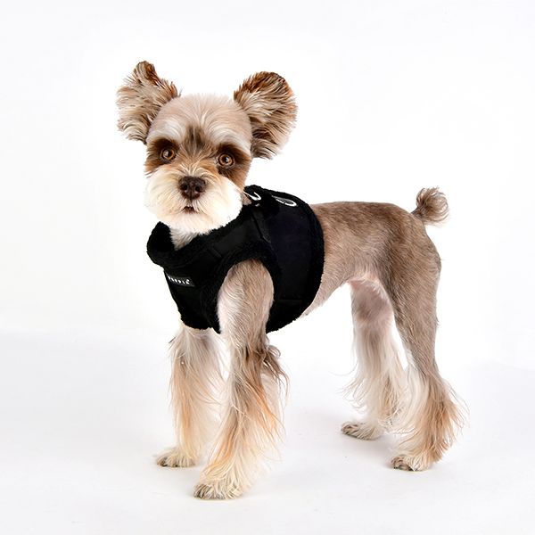 Suede + Shearling Step-In Dog Harness in Black (FINAL SALE) Harness PUPPIA   