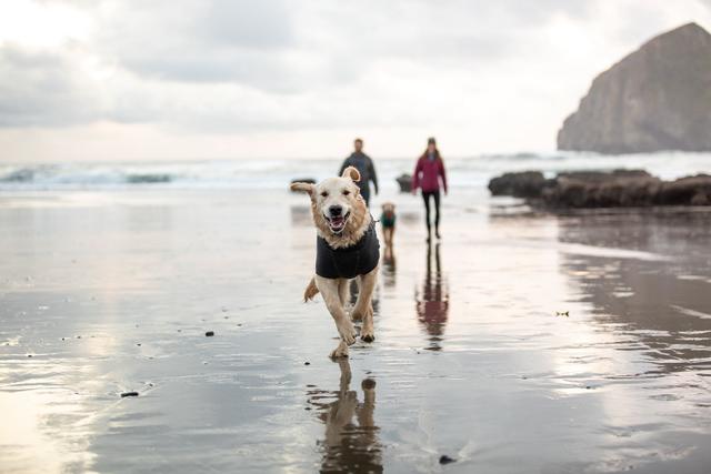 Fernie Jacket in Twilight Gray (FINAL SALE) Wear RUFFWEAR   