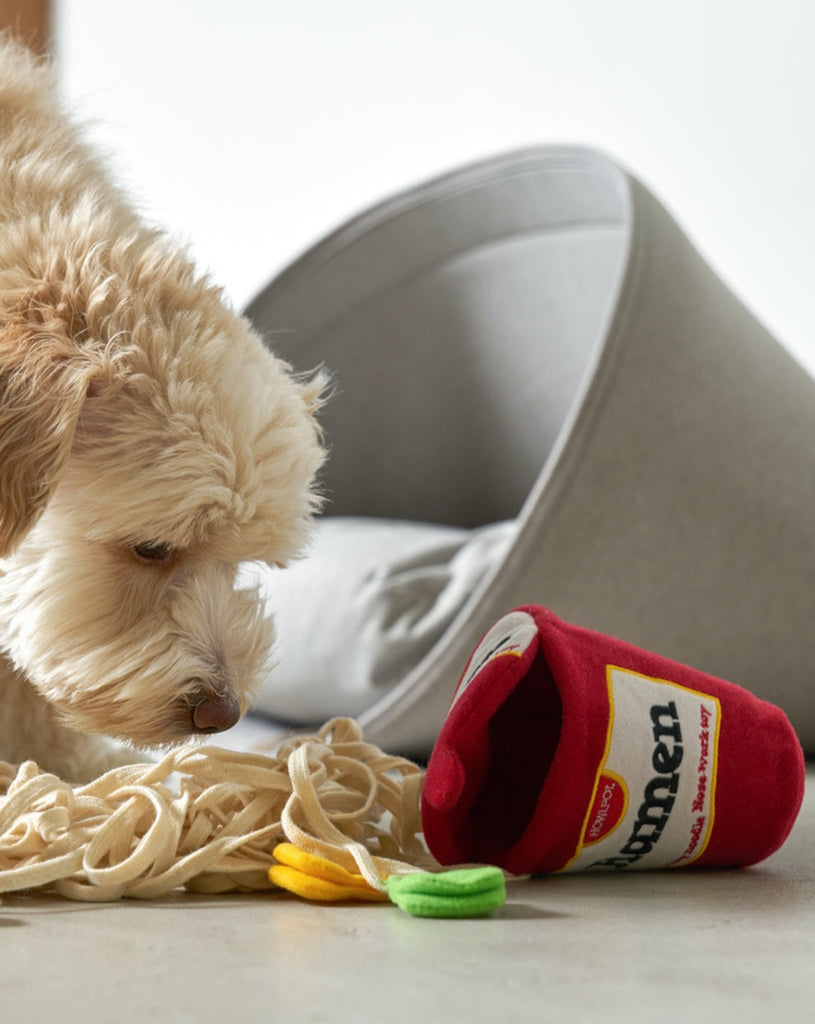 Ramen Noodle Nosework Dog Toy Dog Toys HOWLPOT   