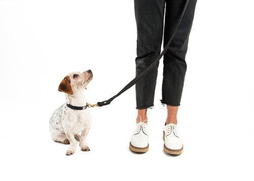 SHED | Mom Jeans Leash in Black Wash Leash SHED   
