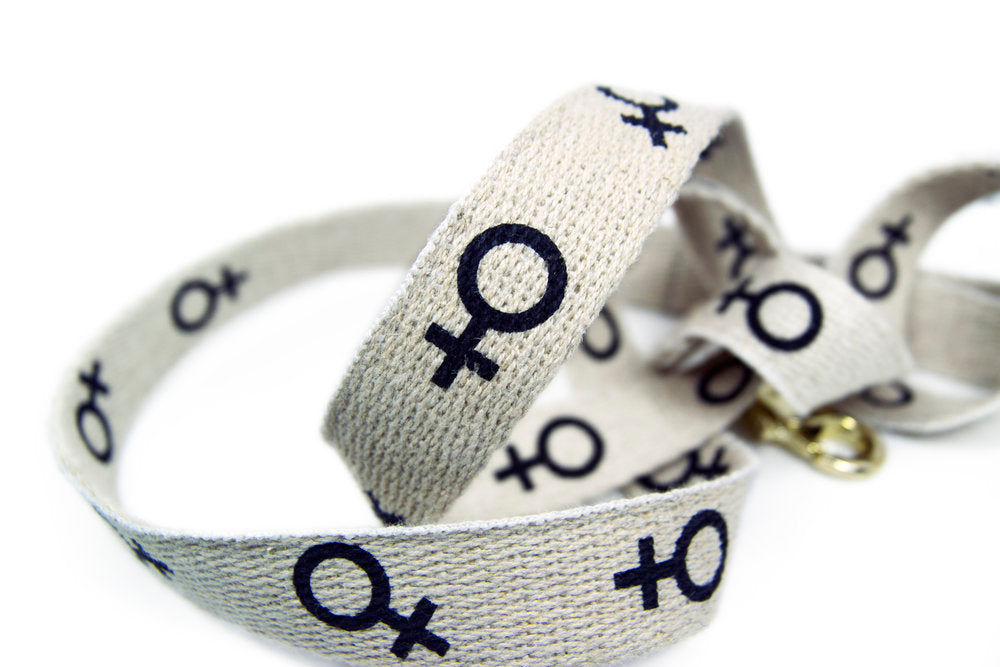 SHED | Grrl Power Leash Leash SHED   