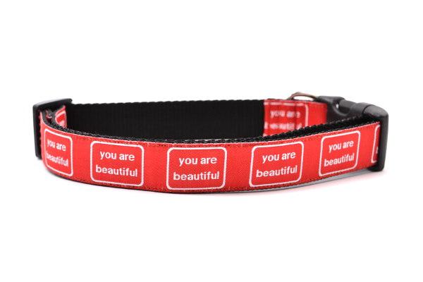 SIX POINT PET | You are Beautiful Collar Collar SIX POINT PET   