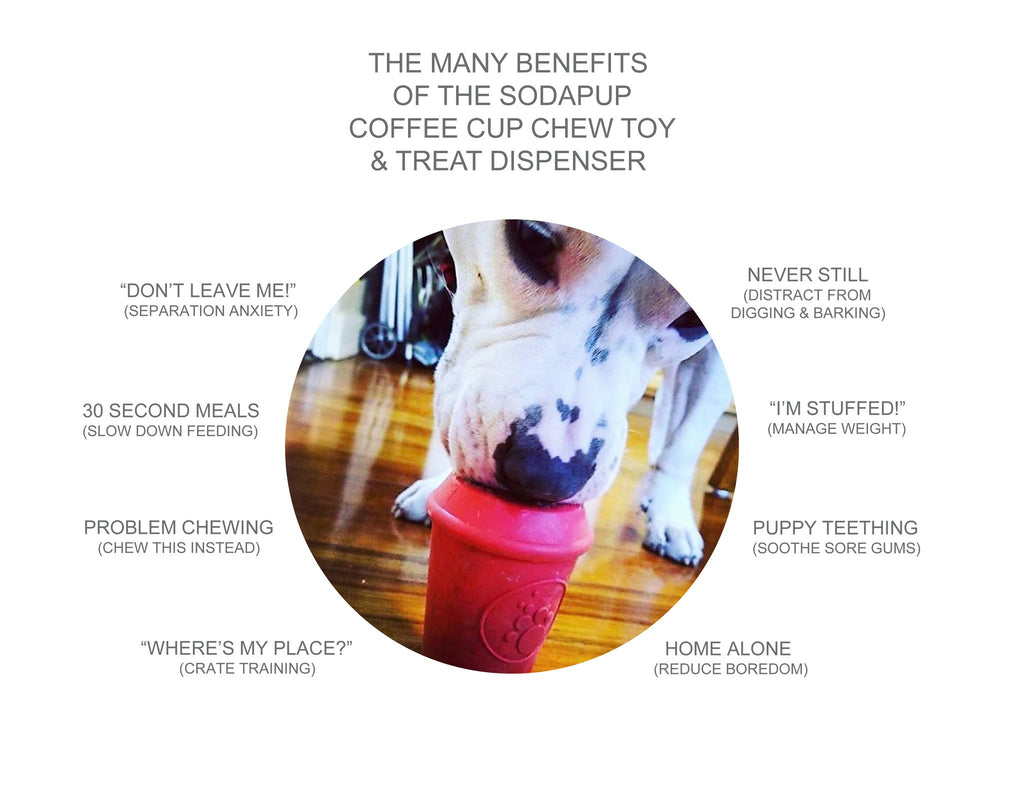Durable Coffee Cup Toy in Red (Medium) Play SODA PUP   
