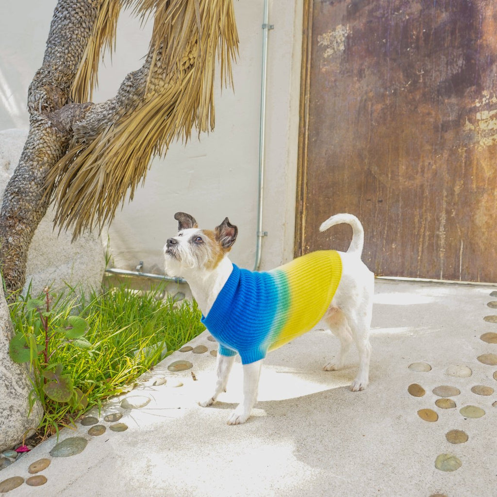 Tie-Dye Cashmere Blend Sweater in Blueberry & Pineapple << FINAL SALE >> Wear RUBY RUFUS   