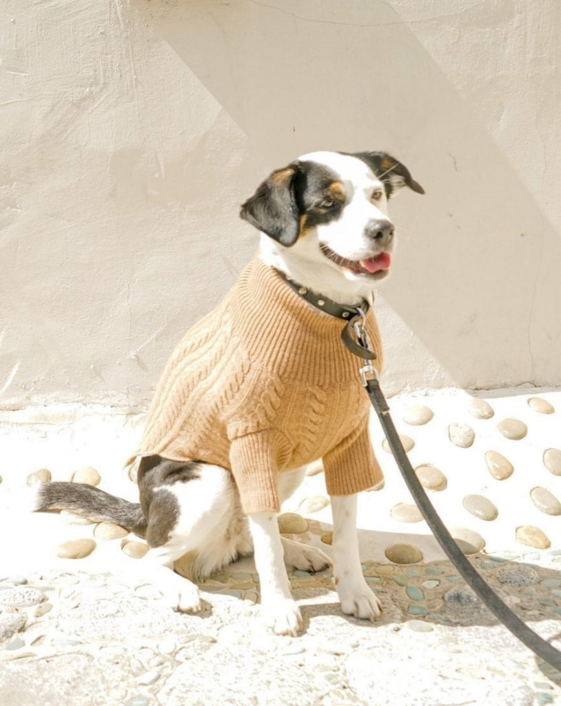 Cashmere Cableknit Sweater in Sand >>>FINAL SALE<<< Wear RUBY RUFUS   