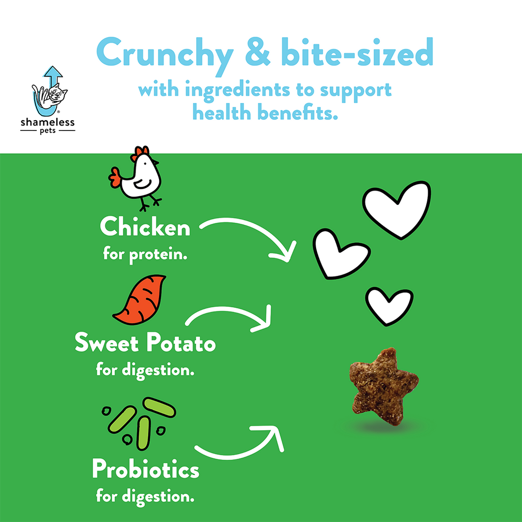 Catnip N Chill Crunchy Cat Treats Eat SHAMELESS PETS   