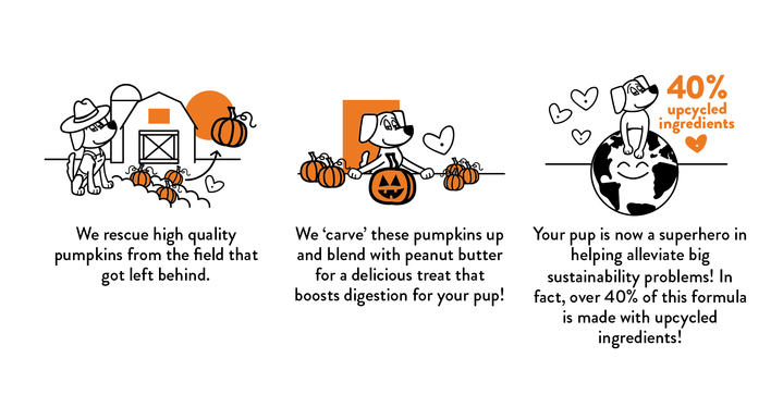 Pumpkin Nut Par-tay Soft Baked Upcycled Dog Treats << FINAL SALE >> Eat SHAMELESS PETS   