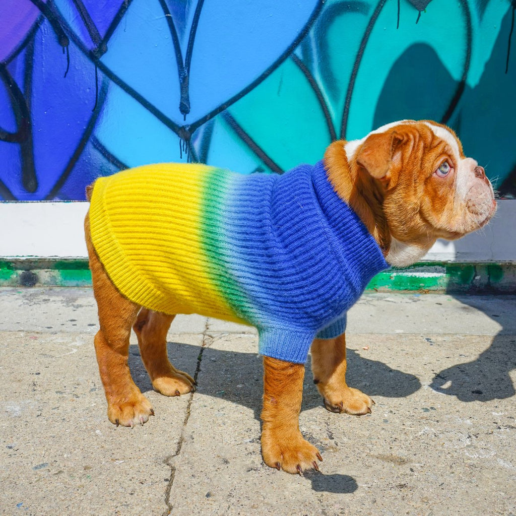 Tie-Dye Cashmere Blend Sweater in Blueberry & Pineapple << FINAL SALE >> Wear RUBY RUFUS   