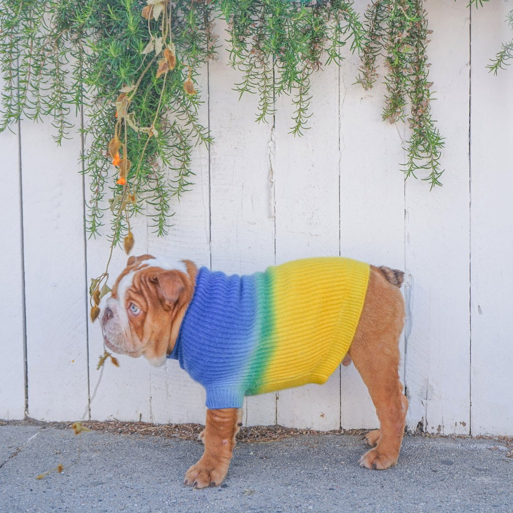 Tie-Dye Cashmere Blend Sweater in Blueberry & Pineapple << FINAL SALE >> Wear RUBY RUFUS   