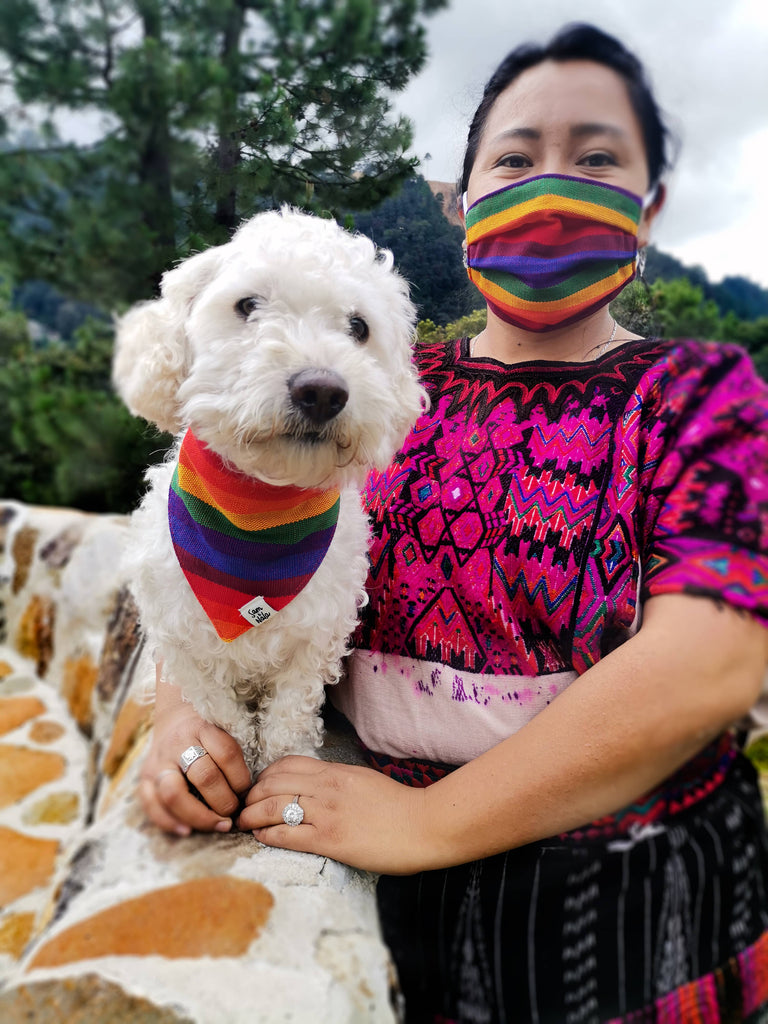 A Case Of Stripes Dog Bandana in Rainbow (FINAL SALE) Accessories SAM & NALA   