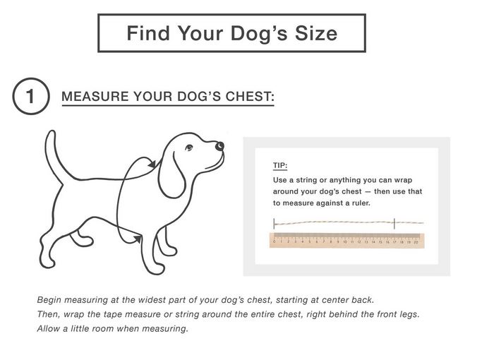 DOG THREADS | Riviera Chambray Shirt Apparel Dog Threads   