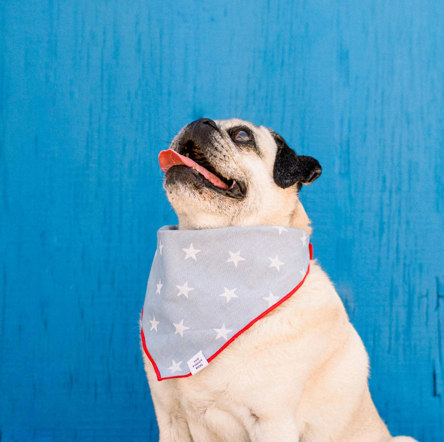 THE FOGGY DOG | Liberty Dog Bandana Accessories THE FOGGY DOG   