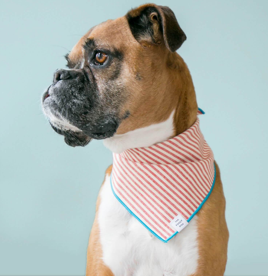 Red Stripe Dog Bandana Accessories THE FOGGY DOG   