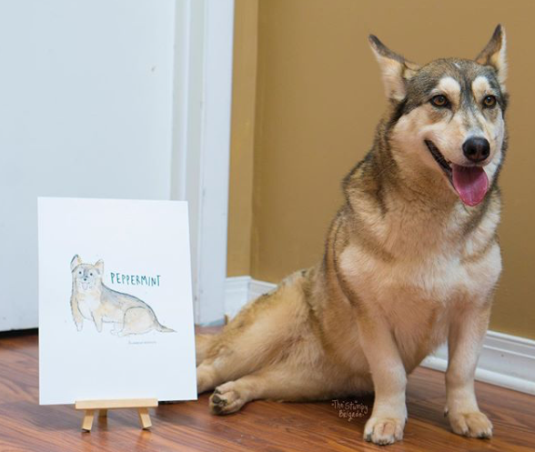 Custom Watercolor Pet Portrait (9" x 9") Drop Ship ANDREA CACERES   