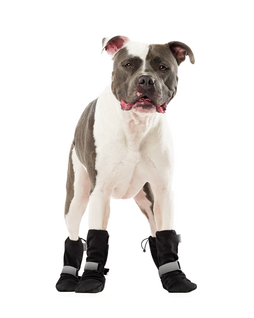 Soft Shield Dog Boots in Black Wear CANADA POOCH   