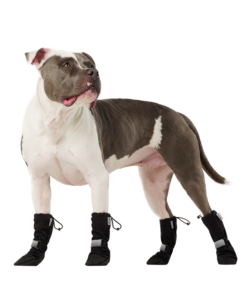 Soft Shield Dog Boots in Black Wear CANADA POOCH   