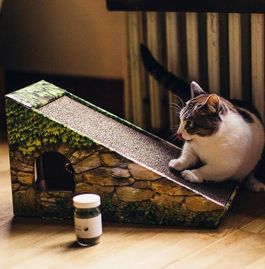 TABBY JAMES | Catnip Fine Cut CAT tabby james   