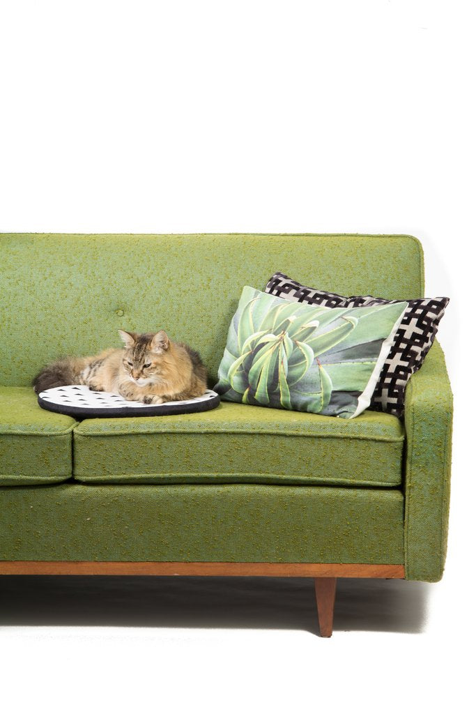 TABBY JAMES | Kitty Nap Pad in Black CAT tabby james   
