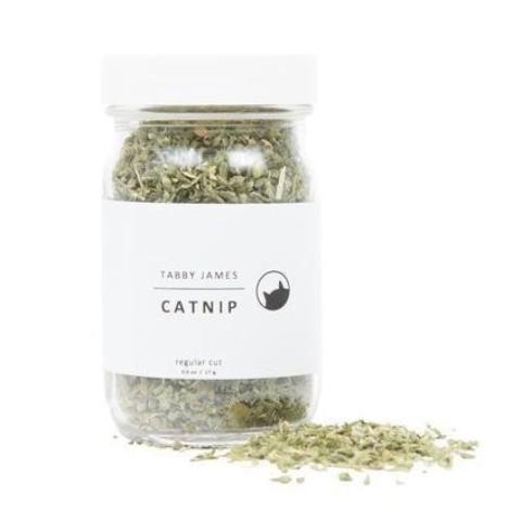 TABBY JAMES | Catnip Regular Cut CAT tabby james   