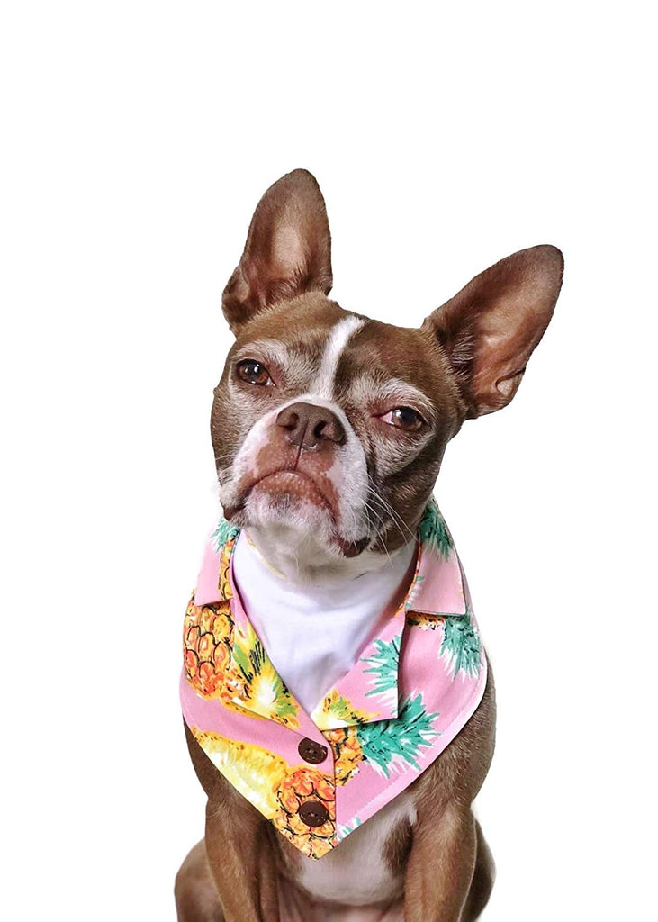 TAIL TRENDS | Hawaiian Pineapple Bandana in Pink Accessories TAIL TRENDS   