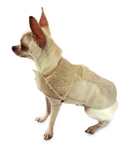 THE DOG SQUAD | Boho Coat in Sand (BIG DOG SALE) Coats & Jackets THE DOG SQUAD   