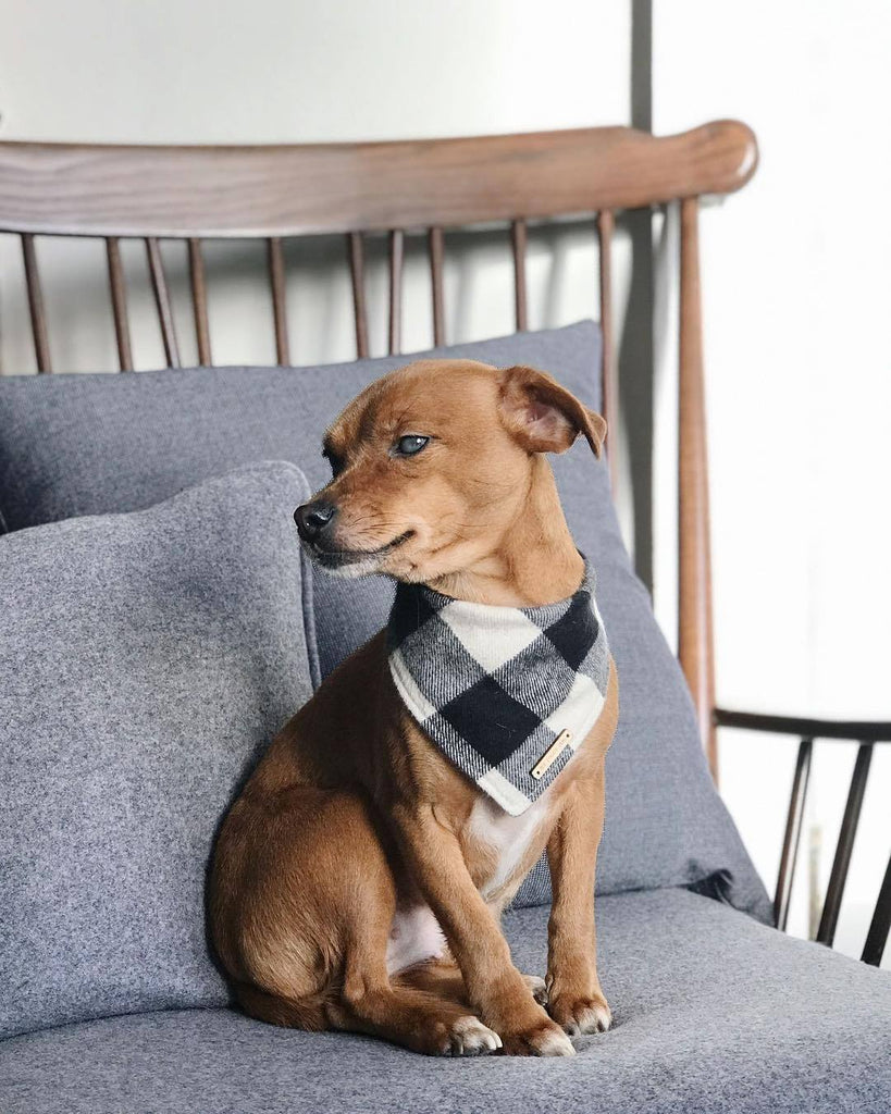 THE FOGGY DOG | Black and White Check Flannel Bandana Accessories THE FOGGY DOG   