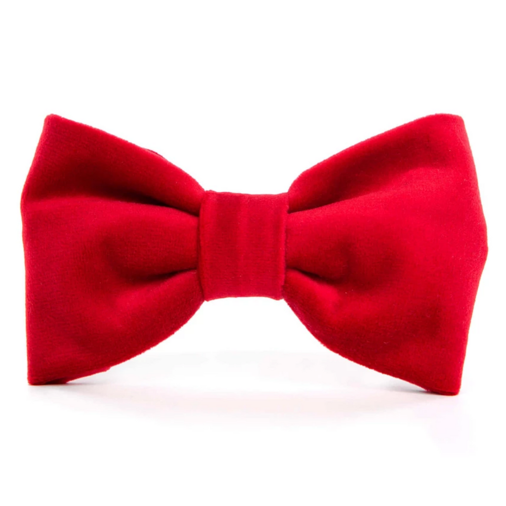 THE FOGGY DOG | Cranberry Velvet Bow Tie Accessories THE FOGGY DOG   