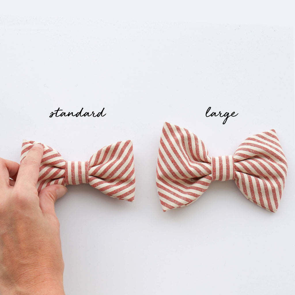 THE FOGGY DOG | Hot Pink Bow Tie Accessories THE FOGGY DOG   