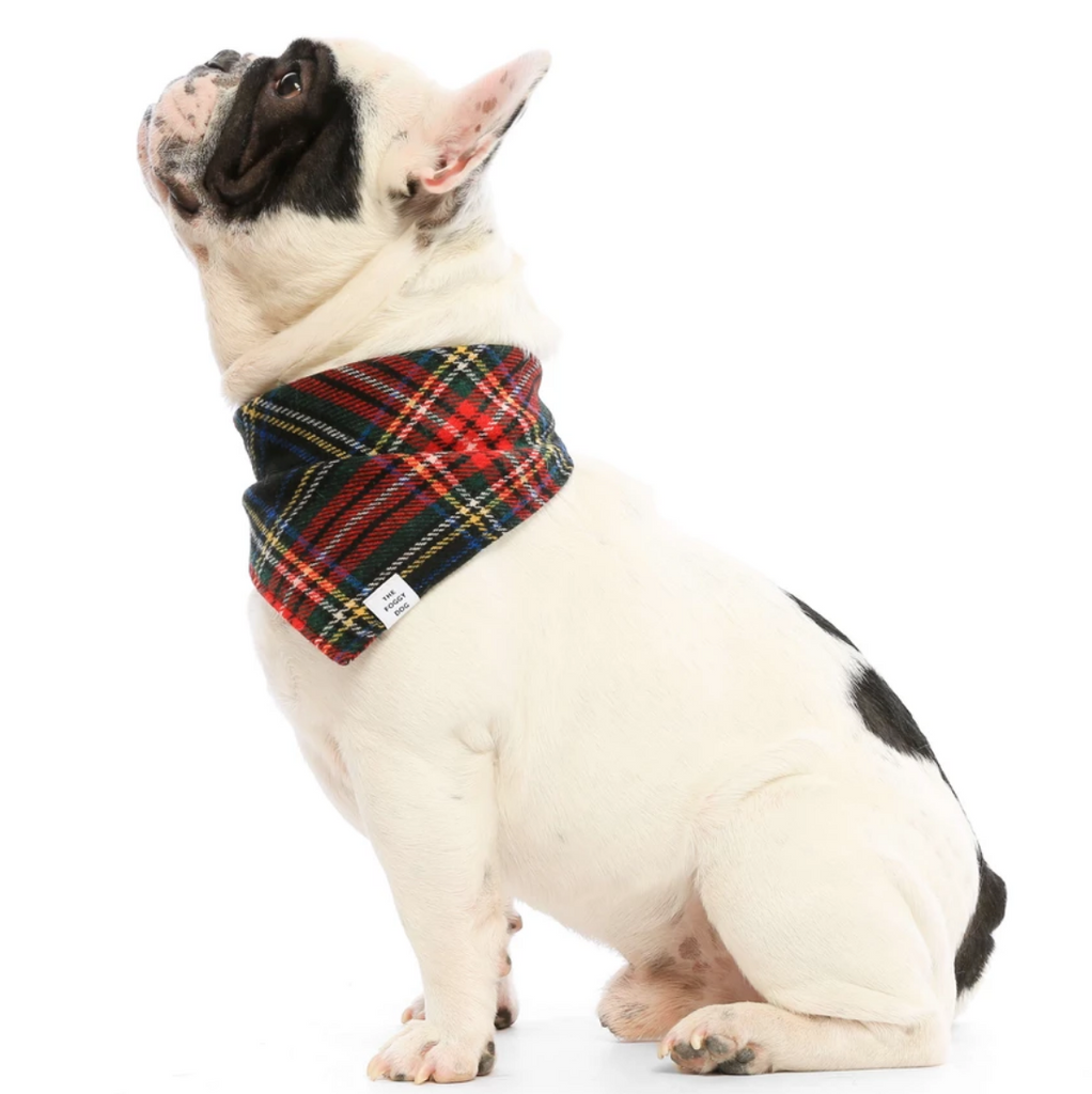 THE FOGGY DOG | Stewart Plaid Wool Bandana Accessories THE FOGGY DOG   