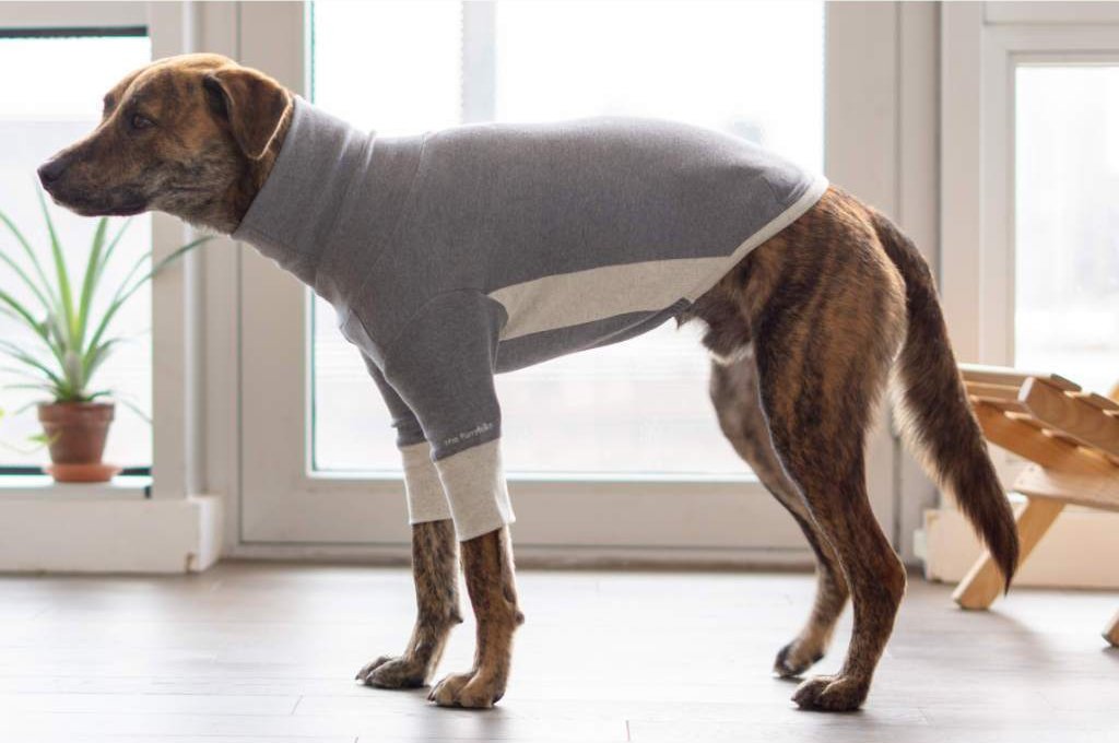 THE FURRYFOLKS | High Neck Tee in Grey Apparel THE FURRY FOLKS   