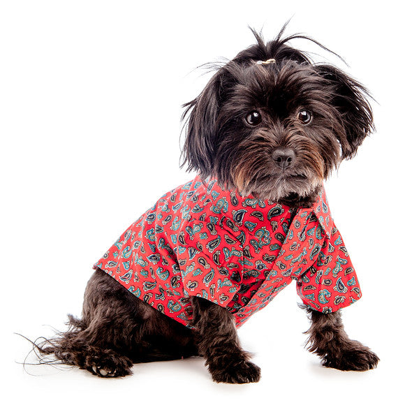 WORTHY DOG | Red Paisley Shirt Apparel THE WORTHY DOG   