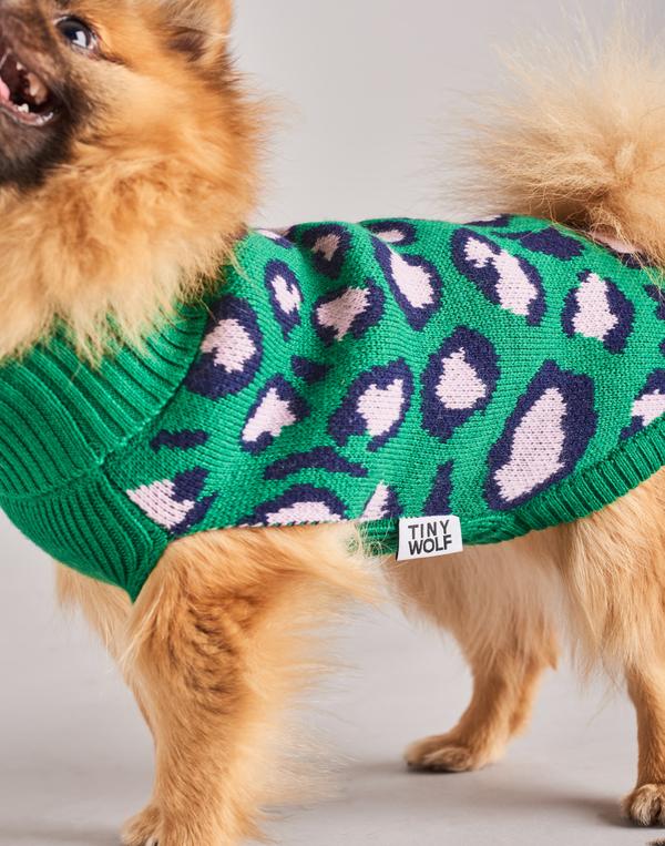 TINY WOLF | Leopard Print Dog Sweater Apparel TINY WOLF   