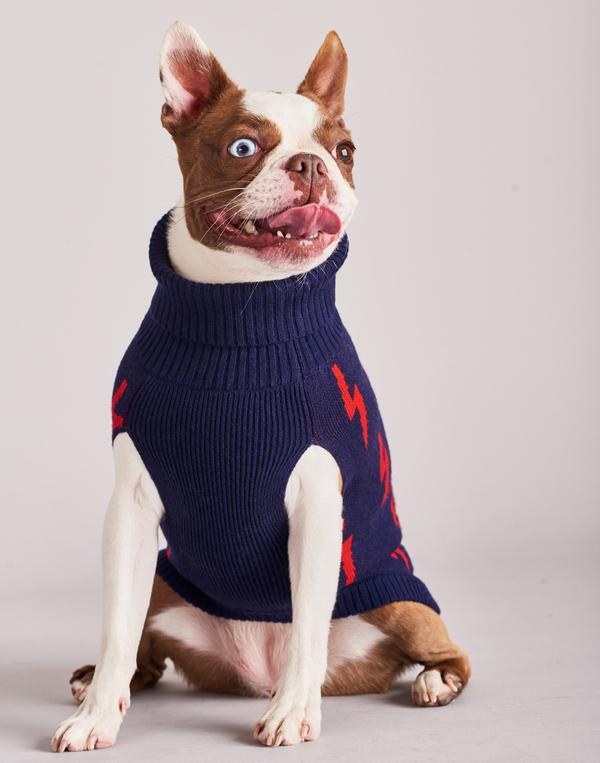TINY WOLF | Lightning Bolt Dog Sweater Apparel TINY WOLF   