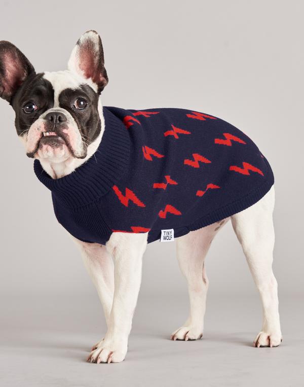 TINY WOLF | Lightning Bolt Dog Sweater Apparel TINY WOLF   