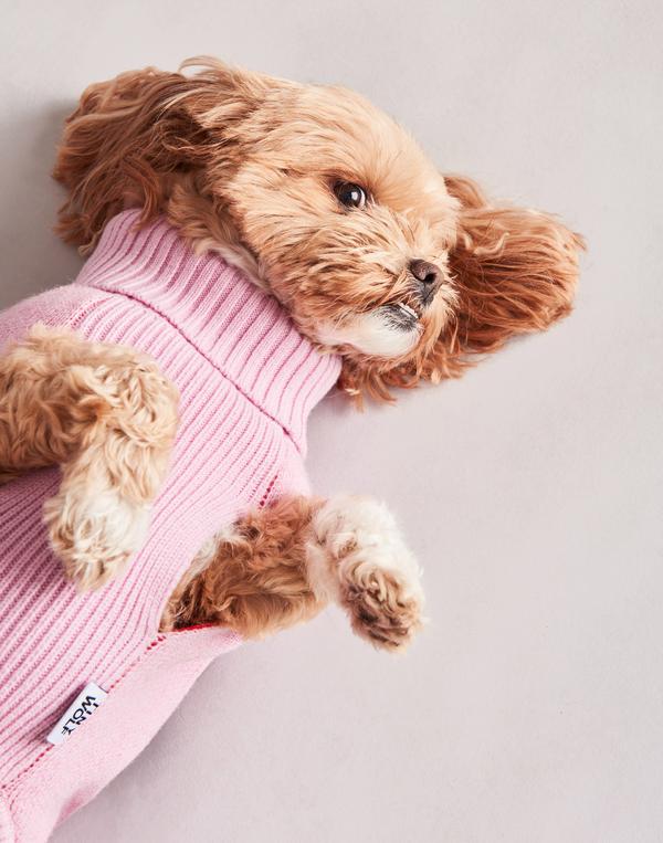 TINY WOLF | Love Heart Dog Sweater Apparel TINY WOLF   
