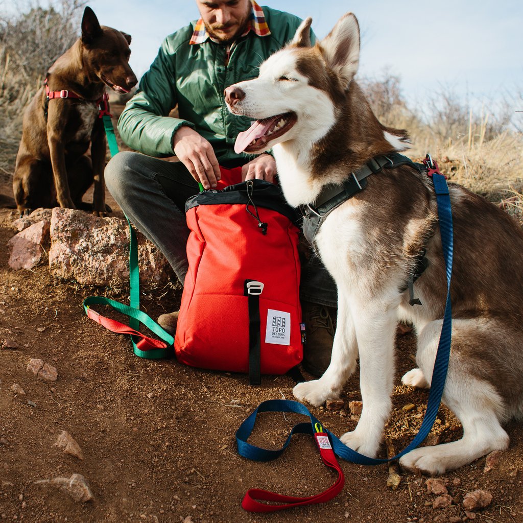 TOPO DESIGNS | Dog Leash in Black Leash TOPO DESIGNS   