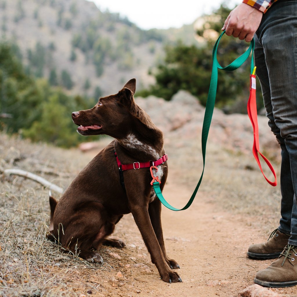 TOPO DESIGNS | Dog Leash in Black Leash TOPO DESIGNS   
