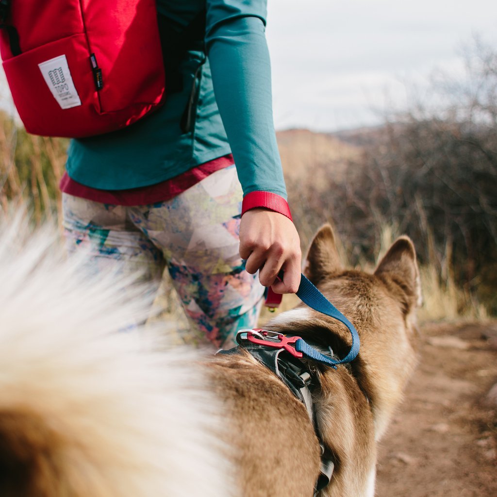 TOPO DESIGNS | Dog Leash in Black Leash TOPO DESIGNS   