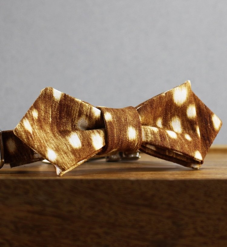 TRAX TIES | The Fallow Contemporary Bow Tie Accessories TRAX TIES   