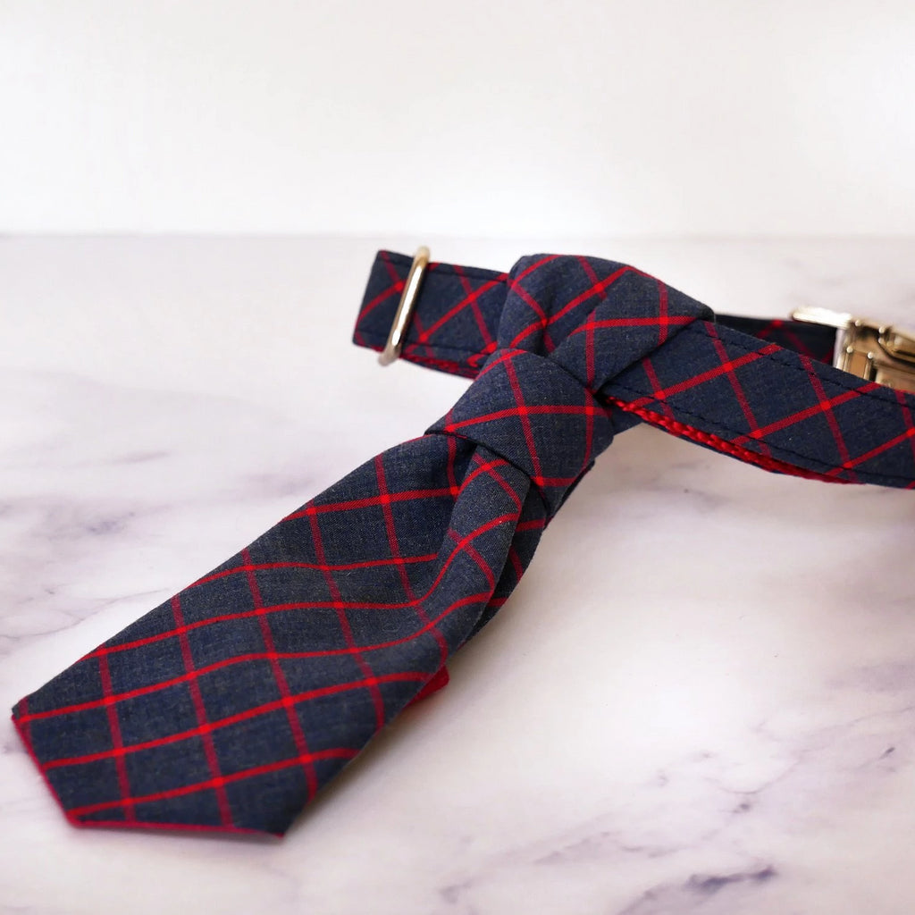 TRAX TIES | The Smith Necktie Accessories TRAX TIES   