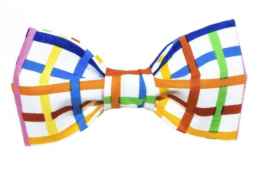 TRISH HAMPTON | Rainbow Plaid Bow Tie Accessories TRISH HAMPTON   